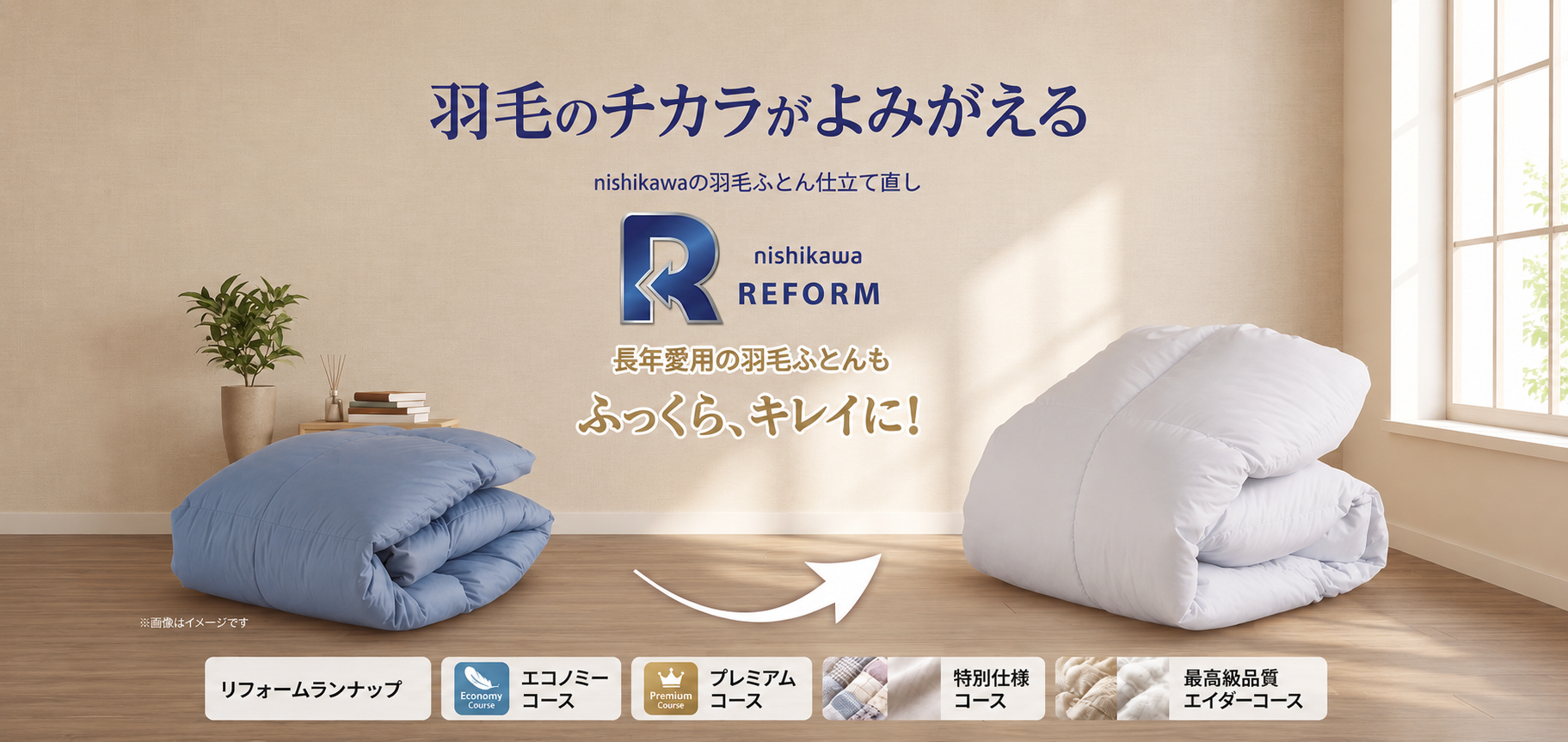 羽毛のチカラがよみがえる